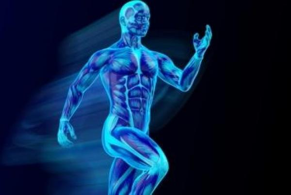 معلومات لا تعرفها عن جسدك !