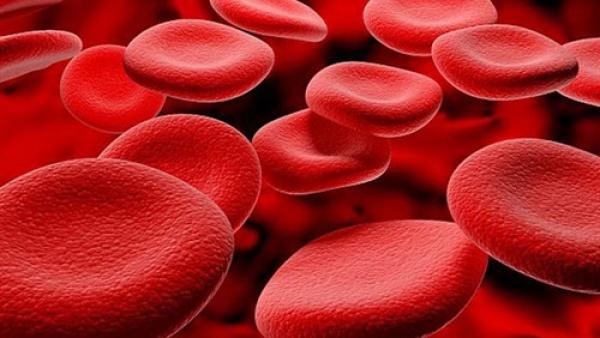 4 نصائح غذائية تساعد في زيادة كرات الدم البيضاء ورفع المناعة