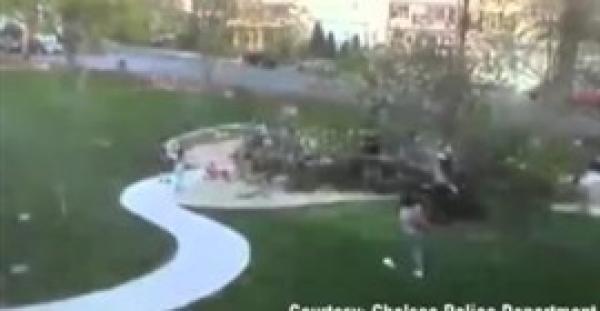 بالفيديو.. شاهد لحظة سقوط شجرة ضخمة على طفلين أثناء لعبهما