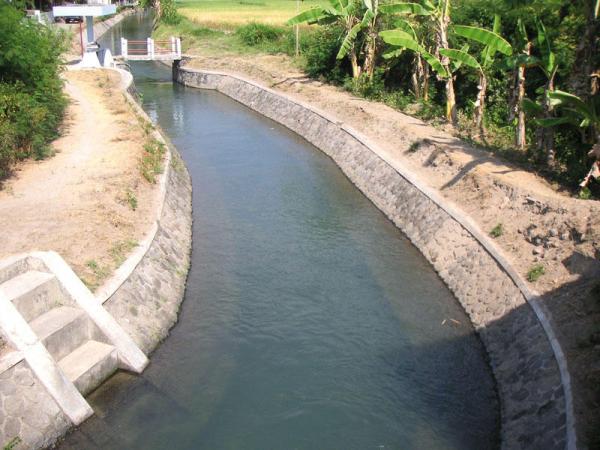 الصورة تعبيرية فقط