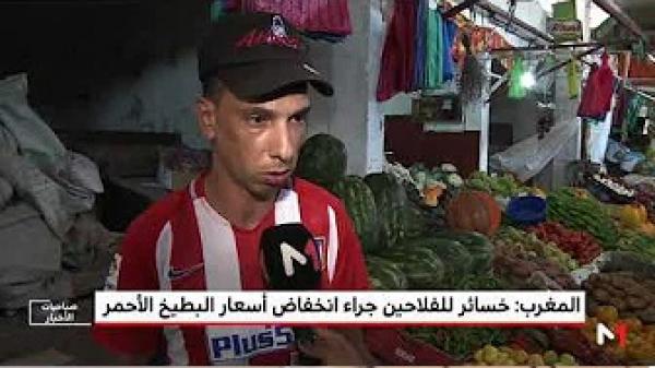 المغرب.. خسائر للفلاحين جراء انخفاض أسعار البطيخ الأحمر