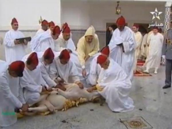 الملك محمد السادس يؤدي صلاة عيد الأضحى ويتقبل التهاني بهذه المناسبة السعيدة