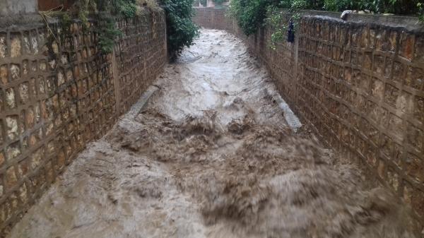 مضطرب نفسي ينجو من الموت بأعجوبة وهكذا أنقذه مواطنون من السيول الجارفة بالواد