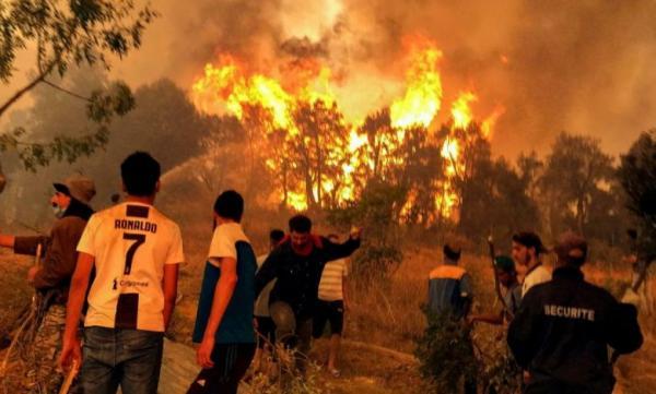 وشهد شاهد من أهلها...حقوقي جزائري يُحمّل "نظام العسكر" مسؤولية الحرائق المندلعة بـ"القبايل"