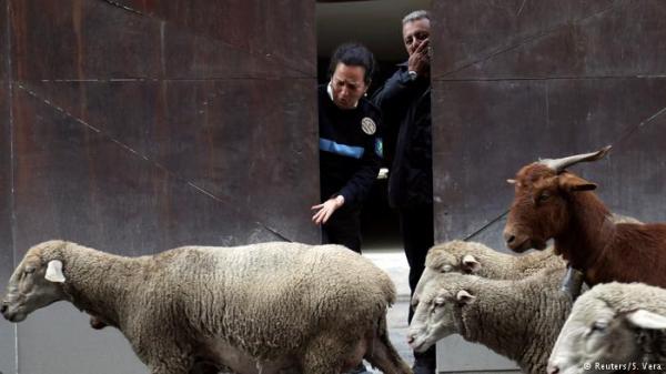 لافتات مرورية ذكية تنقذ السائقين في الطرق الريفية