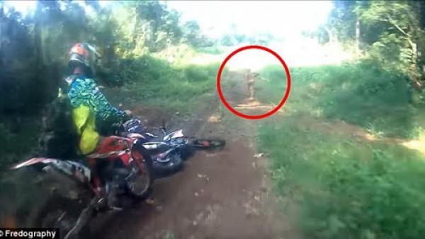 بالفيديو .. العثور على كائن أسطوري يركض على الطريق
