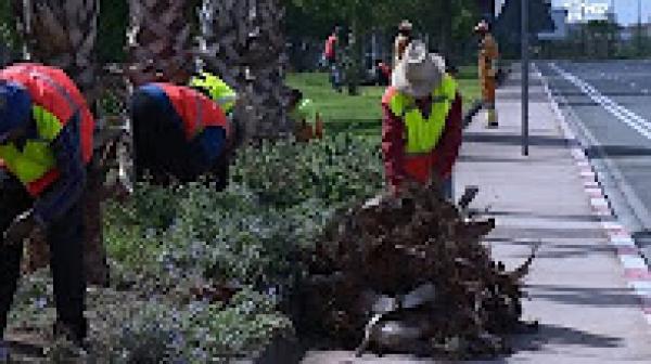 مراكش تتزين استعدادا لاستقبال قمة المناخ "كوب 22"