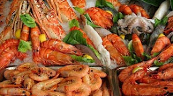 المغرب يعرض مُنتجاته البحريَّة في أهم المعارض الأوروبيَّة في بروكسيل