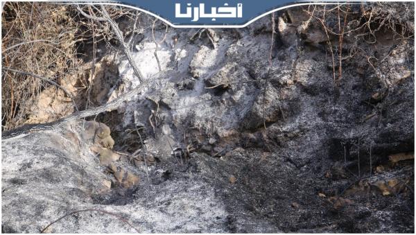 ألسنة اللهب تحول غابة "تاليوان" بشفشاون إلى رماد