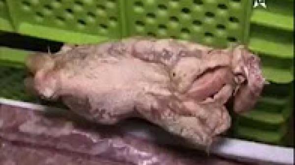 السلطات تطيح بمافيا اللحوم الفاسدة بالمغرب