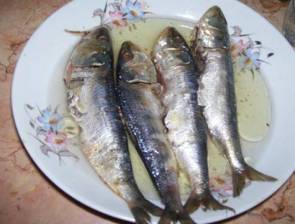 فوائد السردين المملح وأضراره على صحة الإنسان