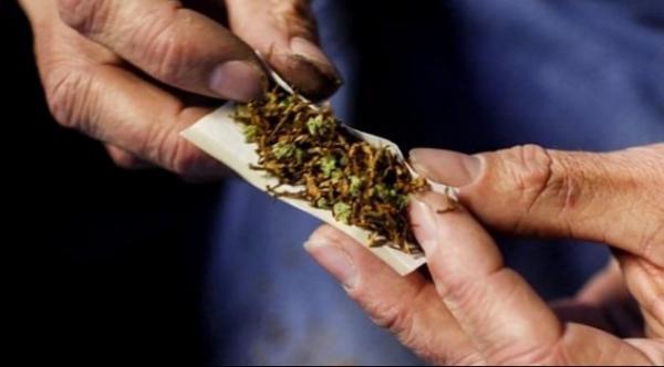 دراسة: كورونا رفعت إستهلاك "الحشيش" والكحول