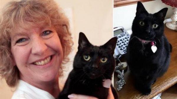 هكذا أنقذت قطة حياة صاحبتها من السرطان