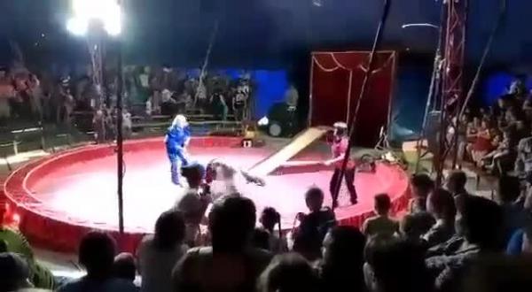 بالفيديو: لحظة مهاجمة دب غاضب لمدربيه أثناء عرض في السيرك