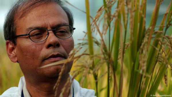 أرز خارق يحارب العمى