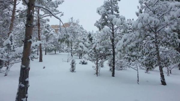 نشرة إنذارية من المستوى البرتقالي: تساقط ثلوج وهبوب رياح  قوية بعدد من أقاليم المملكة