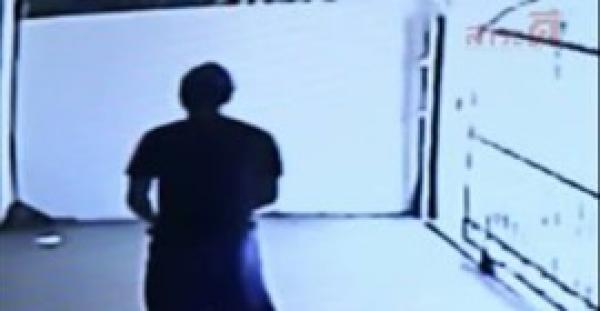 بالفيديو.. ثعبان متخف بشكل محترف يهاجم شابا