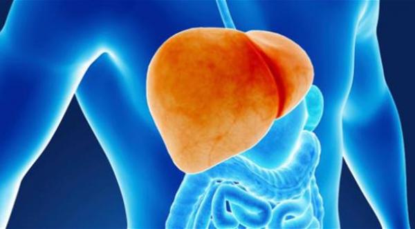 10 عادات تدمر صحة كبد الإنسان