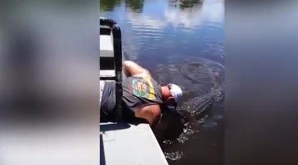 بالفيديو: مرشد سياحي يقبّل تمساحاً مفترساً من أنفه