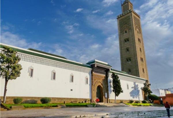 هذه خطة وزارة الأوقاف لتحويل مساجد المغرب إلى "فضاءات خضراء"