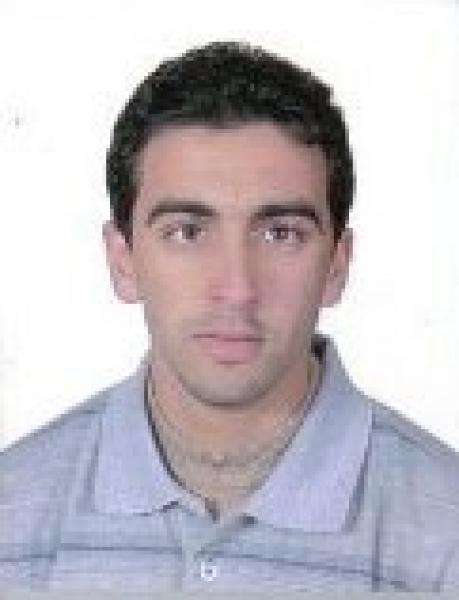 الوطن ليس غابة