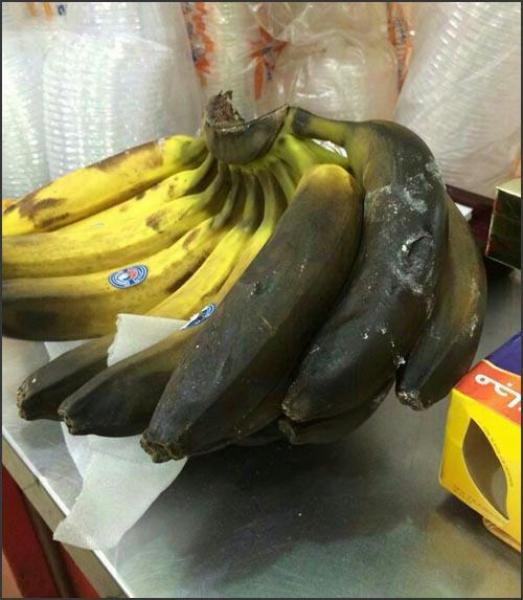 الصورة من الأرشيف