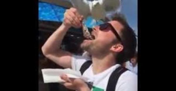 بالفيديو.. طائر يختطف سمكة من فم سائح