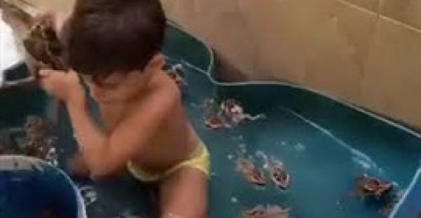 بالفيديو.. لقطات طريفة لطفل يستحم مع 20 ضفدعة حية