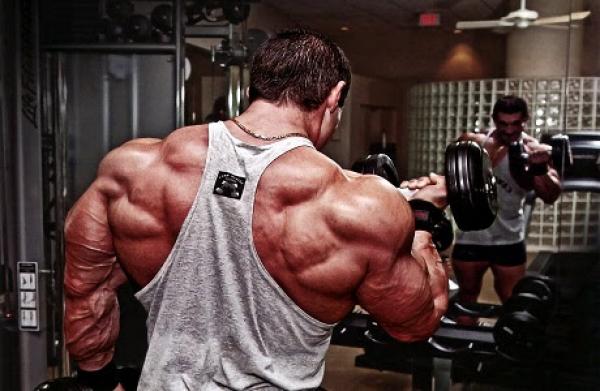 علماء: قوة العضلات انعكاس لصحة الإنسان