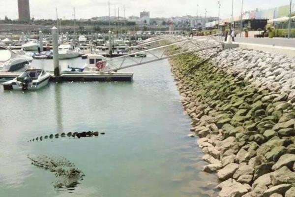 الصورة  تعبيرية