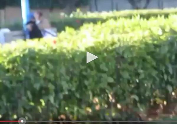 فيديو مشين يظهر عودة ظاهرة القبل الحارة وسط الشارع العام أمام استنكار الجميع