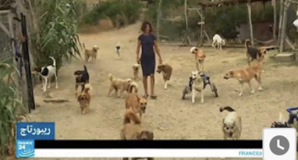 محمية لرعاية الحيوانات الضالة في المغرب!!