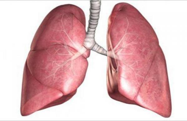 طعام واحد يقوم بتنظيف الرئتين من اثار التدخين تعرف على هذا العنصر المفاجأة