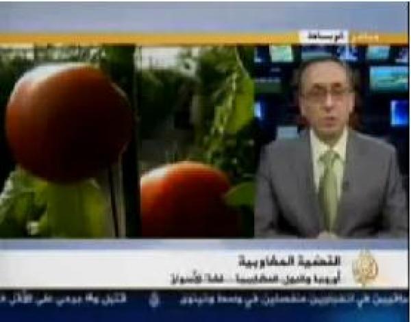 الصادرات المغربية نحو اسبانيا 