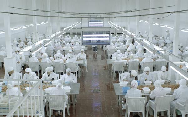 بشرى خير.. الوالي "مهيدية" يرخص لشركة هولندية بإنشاء معمل نواحي "الفنيدق" يشغل المئات من النساء