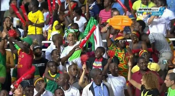 شاهد مشجع جزائري يحتفل مع الكاميرون بهزيمة مصر في النهائي