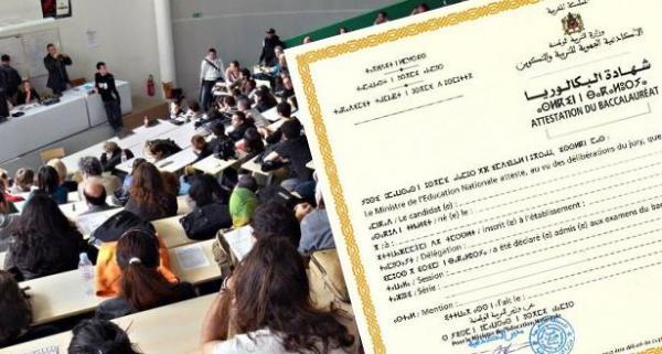 رسميا...4 سنوات للحصول على شهادة الإجازة وهذا هو موعد تطبيق النظام الجديد