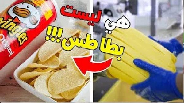 7 معلومات تُأكد بأن حياتك مجرد كذبة