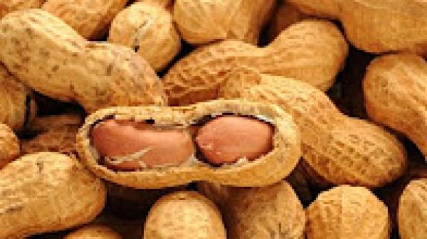 هل تعلم ماذا يحدث للمرأة إذا تناولت حفنة من الفول السوداني.. مدهش حقا!