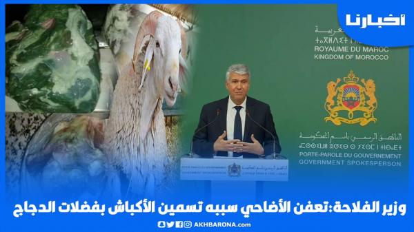 وزير الفلاحة:تــعــفــن الأضاحي سببه تـــســمــين الأكباش بـــفـــضـــــلات الدجاج وهذا ما تم اتخاذه