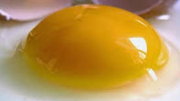 هل تعلم ماذا سيحدث لجسمك إذا أكلت صفار البيض يوميا.. لن تصدق!