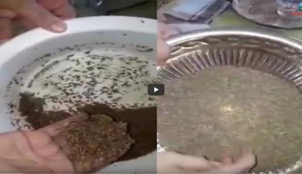 ردوا البال ..شاهد ماذا وجدت هذا السيدة في الكمون