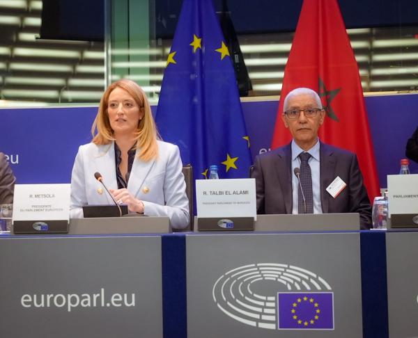 "الطالبي العلمي" يقصف البرلمان الأوروبي ويفضح تورطه في خدمة أجندة نظام العسكر