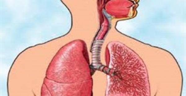 وصفة طبيعية لطرد البلغم وتنظيف الصدر والتخلص من السعال