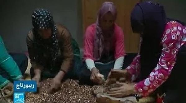 زيت الأرغان.. ذهب المغرب الأخضر