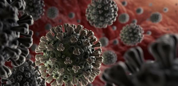 هؤلاء لا يصابون بـ"كورونا" ولا يدخلون المستشفى.. إليكم السبب‎