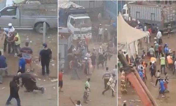 خطير .. اعتداء على "الكسابة" وسرقة الأغنام بالعلالي في سوق للمواشي بالدار البيضاء