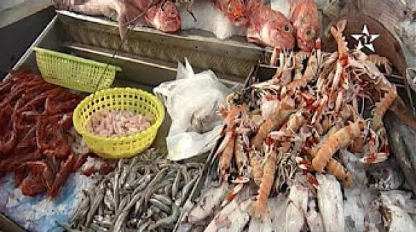 اقبال متزايد على شراء الأسماك قبيل عيد الأضحى