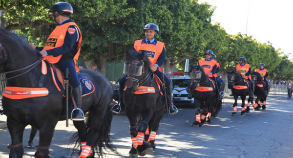 مصدر أمني يدحض "مزاعم تدخل خيالة الأمن الوطني في تفريق شكل احتجاجي"