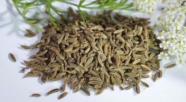 الكراوية صديقة للمعدة